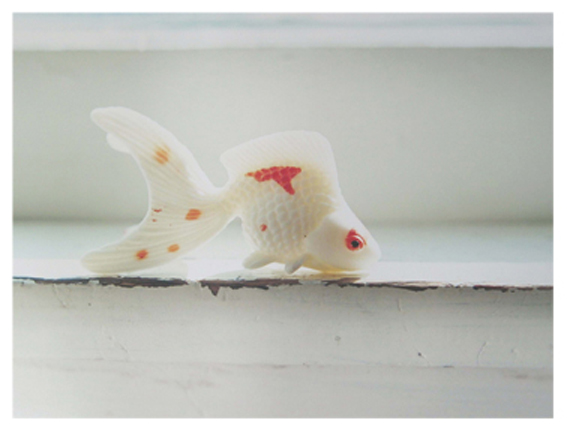 plastic fish