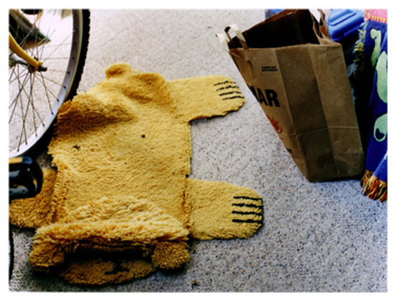 lion rug